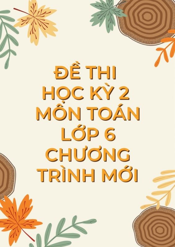 Đề Thi Học Kỳ 2 Môn Toán Lớp 6 Chương Trình Mới