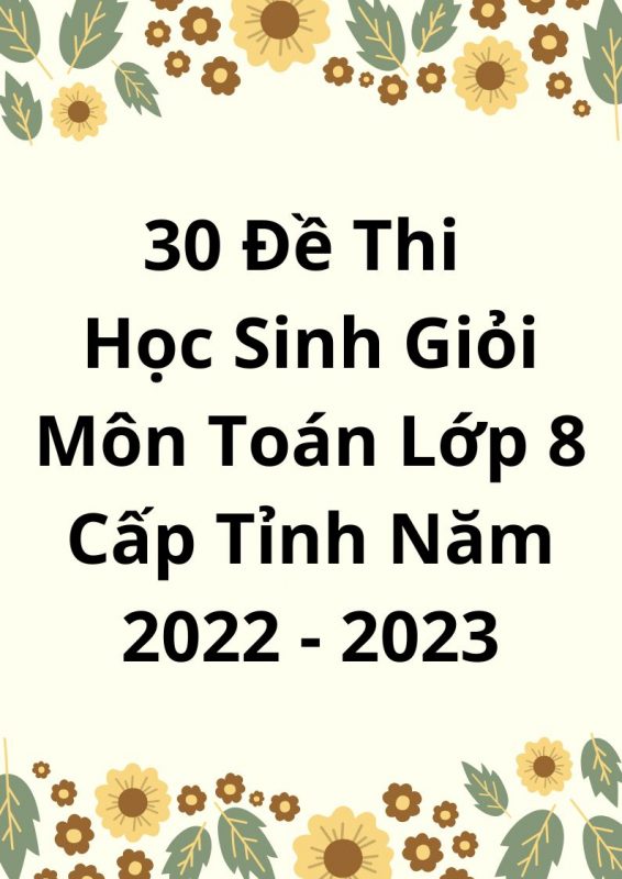 30 Đề Thi Học Sinh Giỏi Môn Toán Lớp 8 Cấp Tỉnh Năm 2022-2023