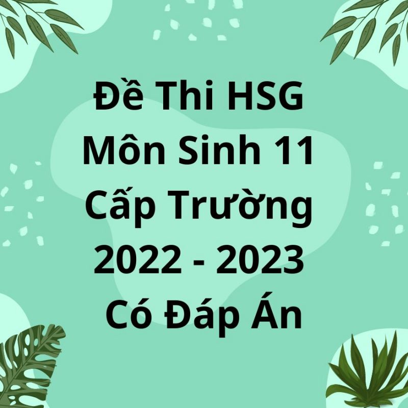 Đề Thi HSG Sinh 11 Cấp Trường 2022-2023 Có Đáp Án