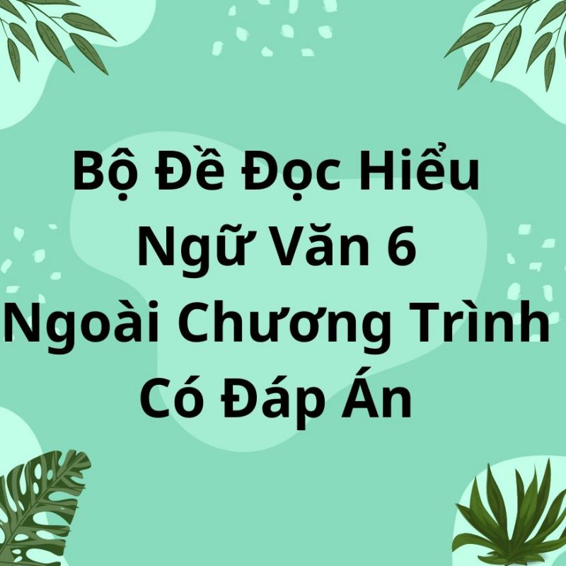 Bộ Đề Đọc Hiểu Ngữ Văn 6 Ngoài Chương Trình