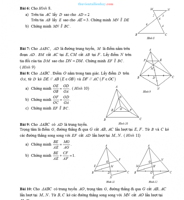 Bài Tập Cơ Bản Toán 8 Chương 4 Định Lí Thalès Có Đáp Án Chi Tiết