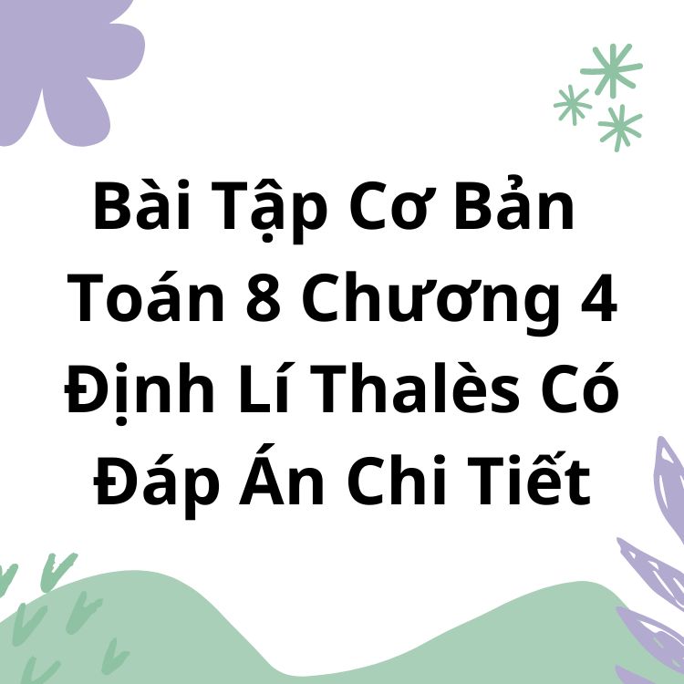 Bài Tập Cơ Bản Toán 8 Chương 4 Định Lí Thalès Có Đáp Án Chi Tiết