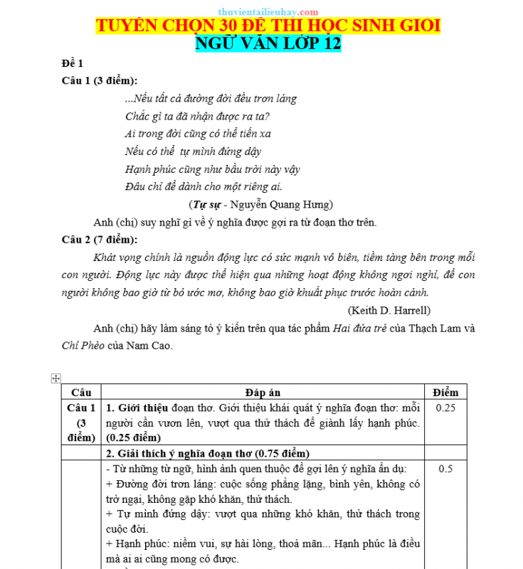 30 Đề Thi Học Sinh Giỏi Môn Ngữ Văn Lớp 12 Có Đáp Án